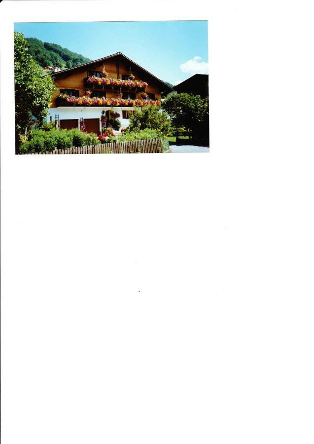 Apartment Am Bach Mellau Exteriör bild